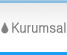 Kurumsal